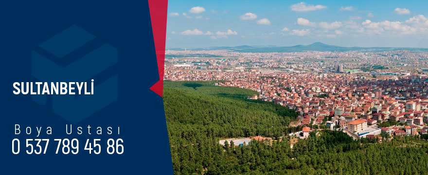 sultanbeyli boya ustası